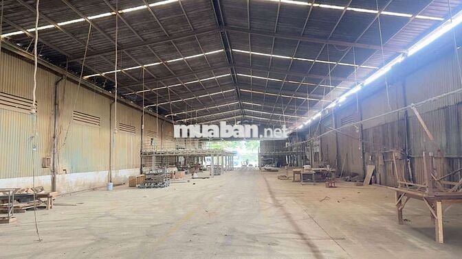 Xưởng giá rẽ Thuận An 6500m²/200tr đường cont điện hạ bình sx đa nghề