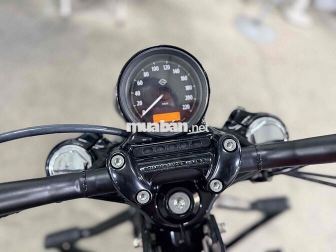 Harley Davidson Forty-Eight 48 2019 Cam