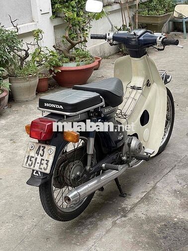 Honda Cub 70 1996 Xanh Trắng kem
