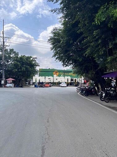 ĐẤT NỀN TUYẾN 3/2 RẠCH GIÁ — GIÁ TỐT KHU VỰC 350 TRIỆU