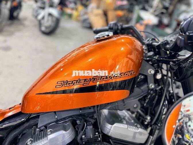 Harley Davidson Forty-Eight 48 2019 Cam