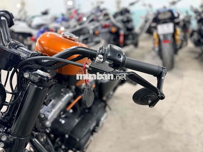 Harley Davidson Forty-Eight 48 2019 Cam