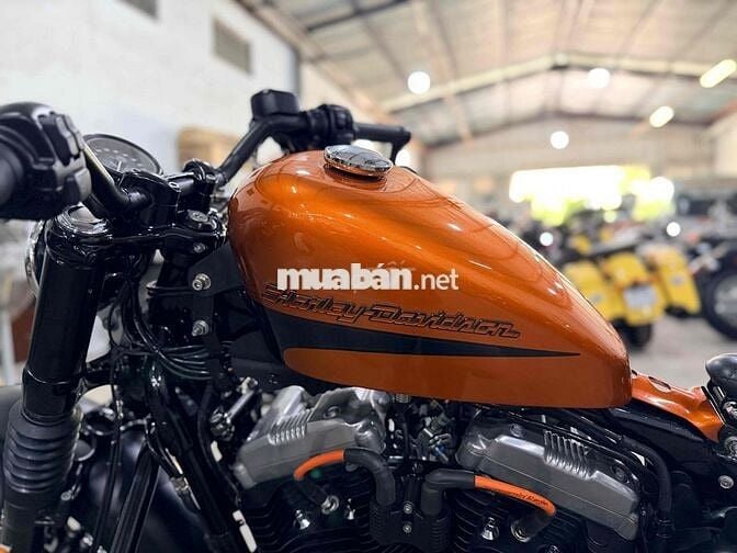 Harley Davidson Forty-Eight 48 2019 Cam