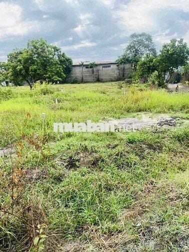 bán đất 5x20 nở hậu đường 6m thông gần trường học