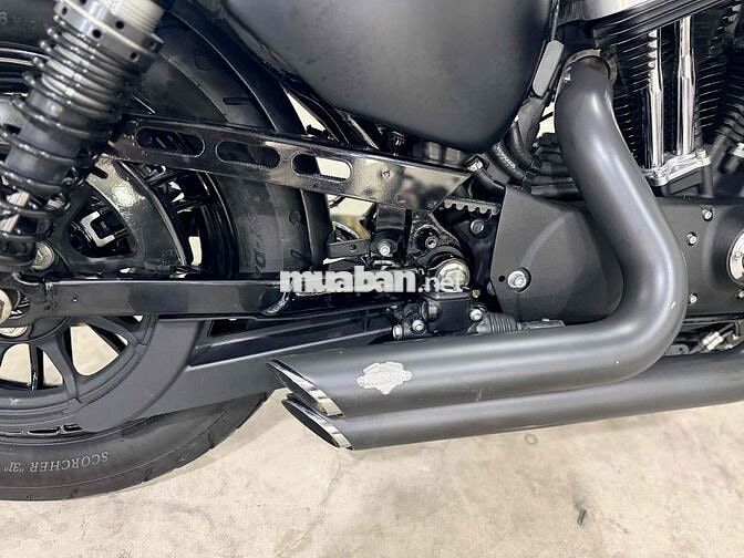 Harley Davidson Forty-Eight 48 2019 Cam