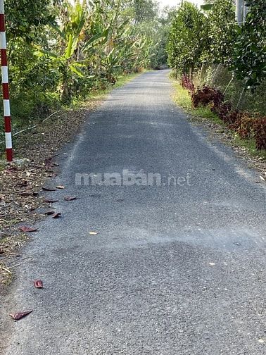 Mặt tiền đường nhựa DH54C Views sông Ba Rài 250m2
