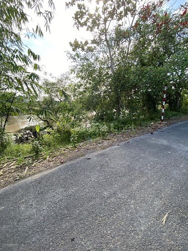 Mặt tiền đường nhựa DH54C Views sông Ba Rài 250m2