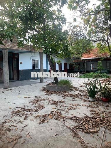 đất ngay chợ bà hom 140m sử dụng ngang 9m giá đầu tư 3Tỷ