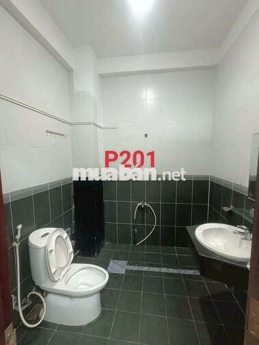Cho thuê 2 phòng chdv hxh Nguyễn Thượng Hiền, P1, GV