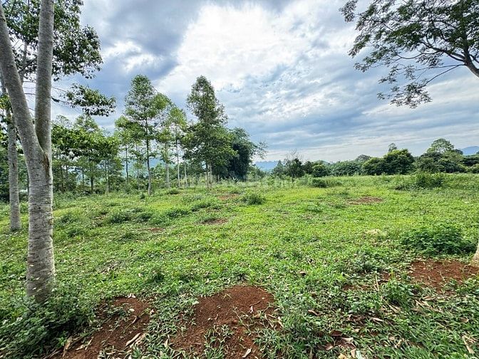 5205m Có 600m Đất Ở Tại  Kim Bôi - Có Giếng Khoáng Nóng 35 độ 