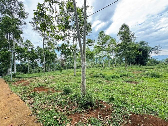 5205m Có 600m Đất Ở Tại  Kim Bôi - Có Giếng Khoáng Nóng 35 độ 