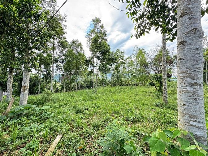 5205m Có 600m Đất Ở Tại  Kim Bôi - Có Giếng Khoáng Nóng 35 độ 