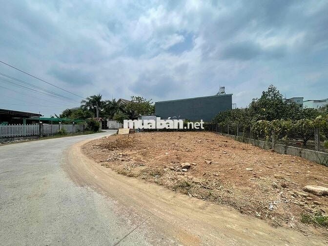 730m2 ĐƯỜNG BÊ TÔNG 5m FULL HỒNG DÂN CƯ ĐÔNG