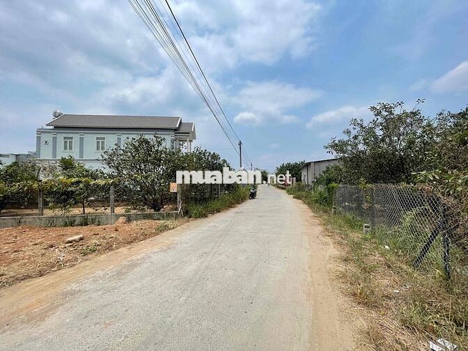730m2 ĐƯỜNG BÊ TÔNG 5m FULL HỒNG DÂN CƯ ĐÔNG