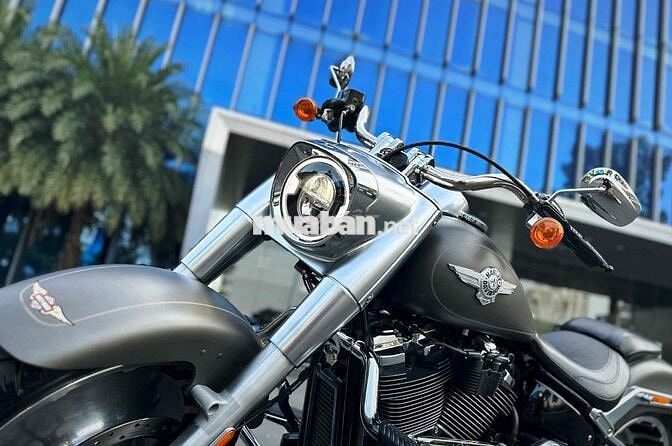 Harley-Davidson Fat Boy 114Ci 2019 Xám