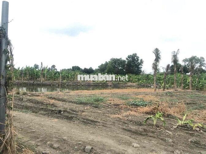 Hơn 4200m2 đất Hồng Phường Trảng Bom