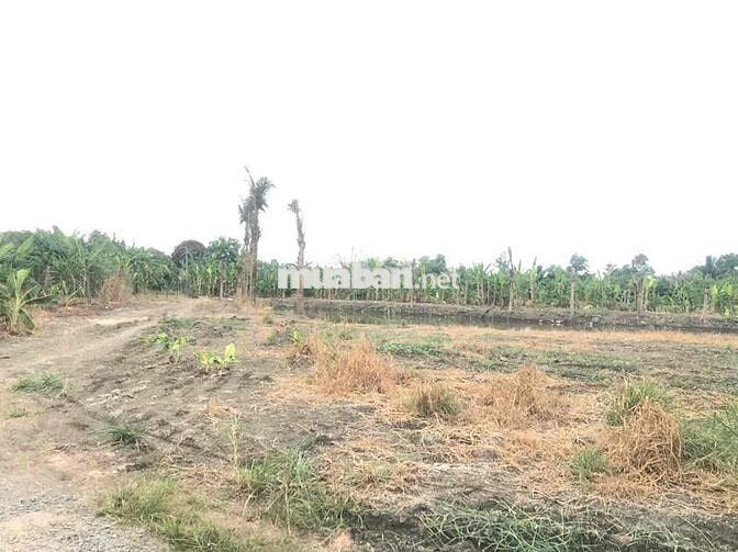 Hơn 4200m2 đất Hồng Phường Trảng Bom