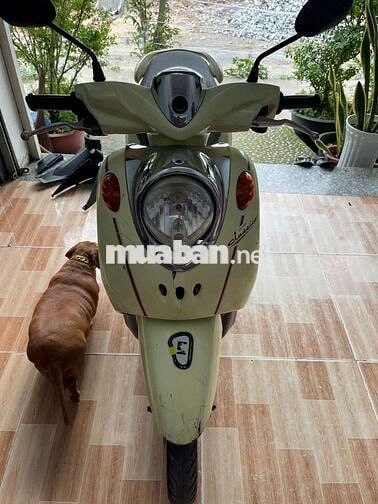 Yamaha Mio Classico 110 2012 Vàng kem