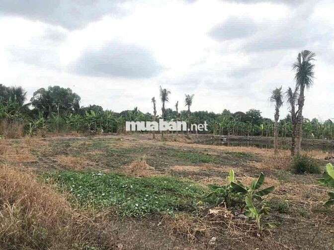 Hơn 4200m2 đất Hồng Phường Trảng Bom