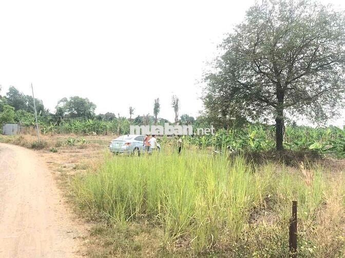 Hơn 4200m2 đất Hồng Phường Trảng Bom