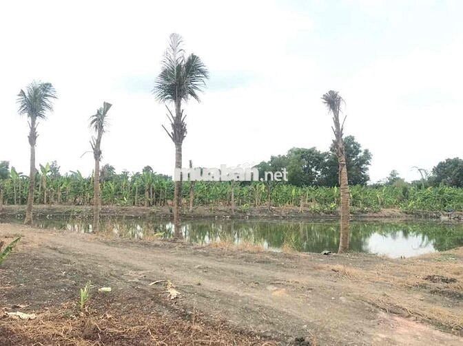 Hơn 4200m2 đất Hồng Phường Trảng Bom