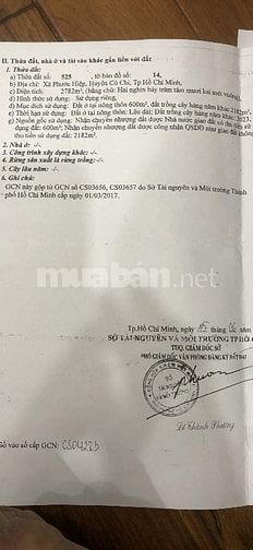 Cần bán lô đất mặt tiền đường 80, Phước Hiệp, Củ Chi. 