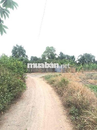 Hơn 4200m2 đất Hồng Phường Trảng Bom