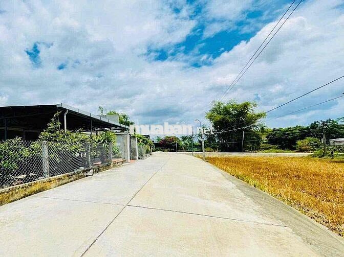 Đất Điện Thắng Bắc, gần chợ đầu mối, cách quốc lộ 900m, đường 5m