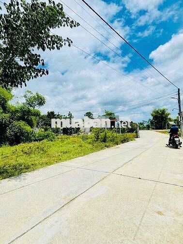Đất Điện Thắng Bắc, gần chợ đầu mối, cách quốc lộ 900m, đường 5m