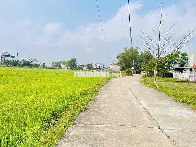 Đất Điện Thắng Bắc, gần chợ đầu mối, cách quốc lộ 900m, đường 5m