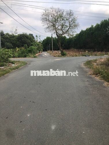 BÁN ĐẤT VƯỜN SỔ RIÊNG AN VIỄN  TRẢNG BOM  ĐỒNG NAI