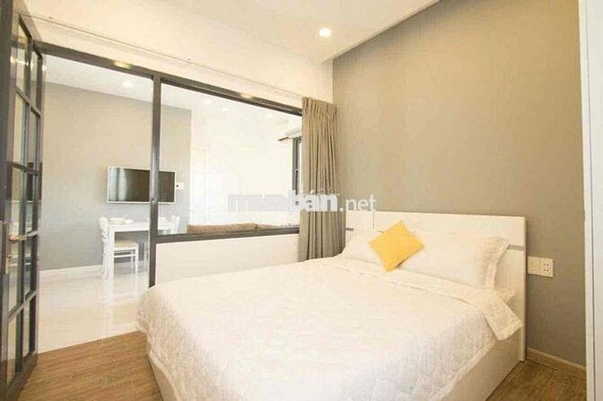 Cho thuê căn hộ 1pn tách bếp thang máy bảo vệ gần Dương Bá Trạc Quận 8