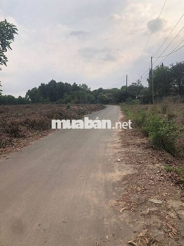 BÁN ĐẤT VƯỜN SỔ RIÊNG AN VIỄN  TRẢNG BOM  ĐỒNG NAI