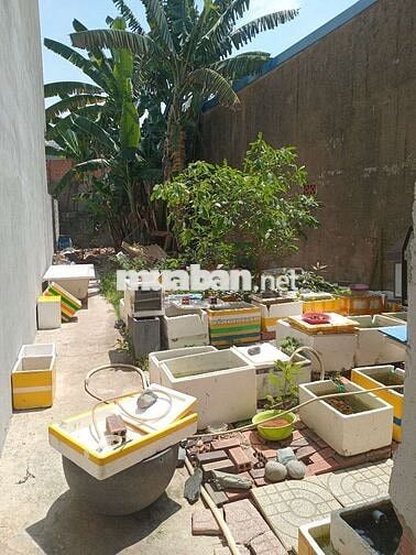 Bán nhà kèm theo đất tân đông hiệp dĩ an hồ chí minh