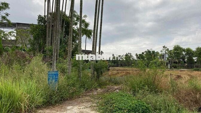 đất thổ cư hoàn toàn 1,950 tỷ, phù hợp làm biệt thự vườn tại Đà Nẵng