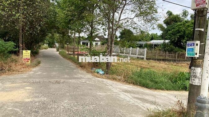 đất thổ cư hoàn toàn 1,950 tỷ, phù hợp làm biệt thự vườn tại Đà Nẵng