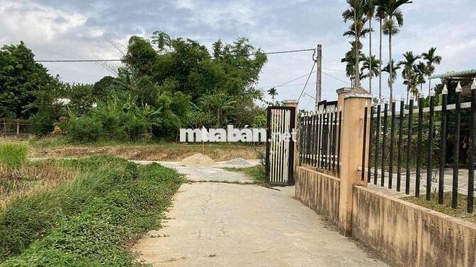 đất thổ cư hoàn toàn 1,950 tỷ, phù hợp làm biệt thự vườn tại Đà Nẵng