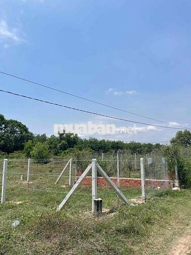 cần bán đất nền thuộc châu thành Tỉnh Tây Ninh