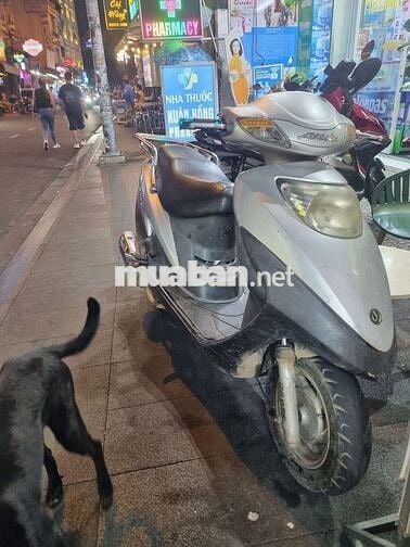 SYM Attila 110cc Bạc