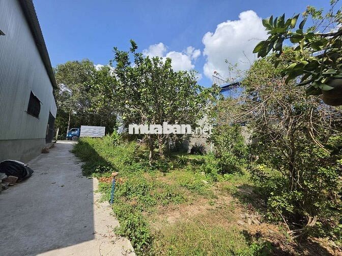 285M MTIEN HL173 CŨ SÁT BÊN CHỢ HỮU ĐỊNH CÓ 63M THỔ CƯ