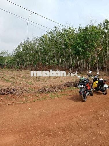 bán đất Huyện Hớn Quản tỉnh Bình Phước
