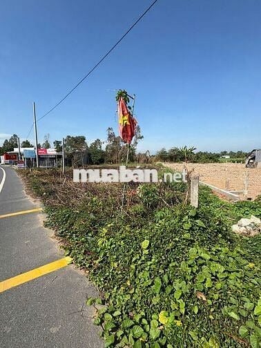 🏡BÁN ĐẤT MẶT TIỀN RỘNG 30 MÉT - TỈNH LỘ 919, XÃ CỜ ĐỎ, TP. CẦN THƠ