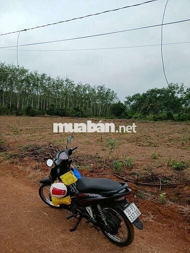 bán đất Huyện Hớn Quản tỉnh Bình Phước