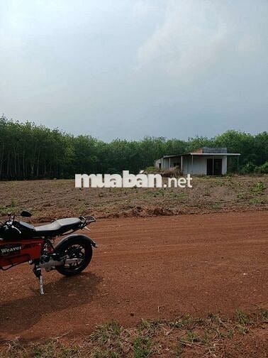bán đất Huyện Hớn Quản tỉnh Bình Phước