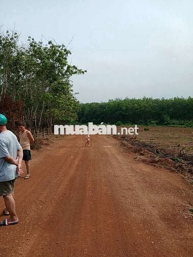 bán đất Huyện Hớn Quản tỉnh Bình Phước