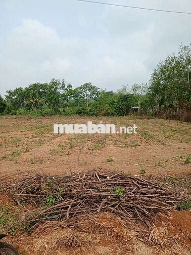 bán đất Huyện Hớn Quản tỉnh Bình Phước