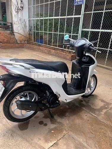 Honda Vision 2024 Trắng 6789 km
