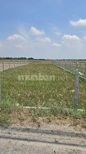 Bán Lô 5x40 Full thổ cư Đức huệ