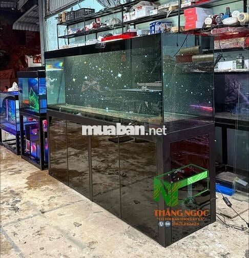 Tuyển Tài Chạy Xe 2.4 tấm