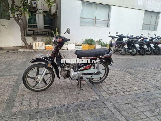 xe dream hàn quốc